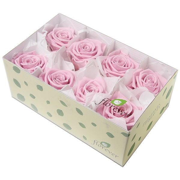 Florever ��ǥ����ʥ�����(8) ��٥�����ԥ�