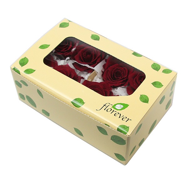 Florever ���ץ졼������(8) �磻��