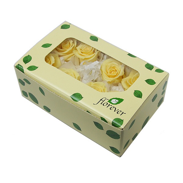 Florever ���ץ졼������(8) ���եȥ�������