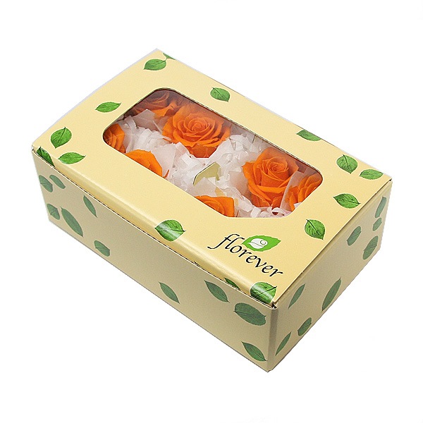 Florever ���ץ졼������(8) ���󥸥���󥪥��