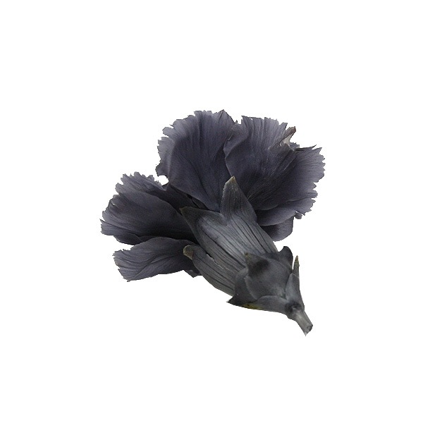 Florever �ߥ˥����͡������(12) ���å��奰�졼