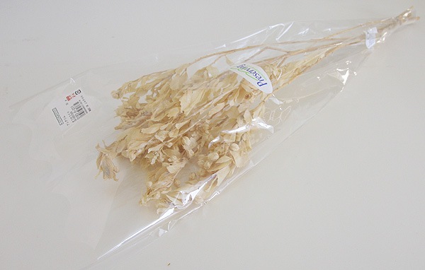 ��Outlet��ON ���쥯��� ���եۥ磻��