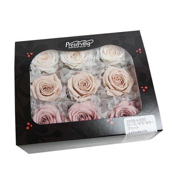 ��������. ������������(9) �˥奢�󥹥ߥå���