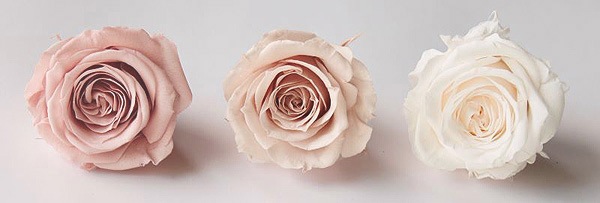 ��������. ������������(9) �˥奢�󥹥ߥå���