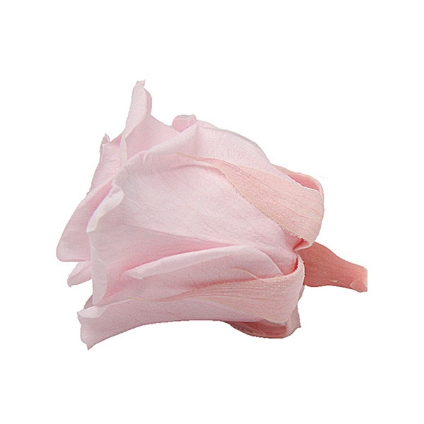 Florever ���ץ졼������(8) �ߥ륭���ԥ�