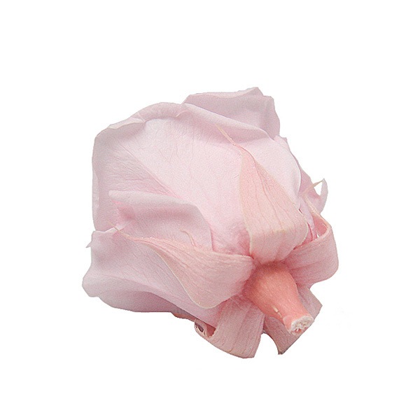 Florever ���ץ졼������(8) �ߥ륭���ԥ�