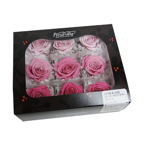 �������� ������������(9) �ԥ󥯥ߥå���