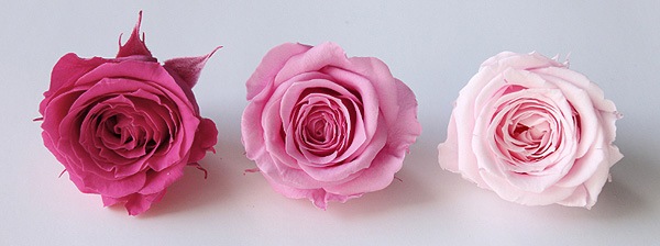 �������� ������������(9) �ԥ󥯥ߥå���