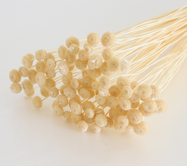 ��Outlet��ON ���ޥ�꡼�ե� ��