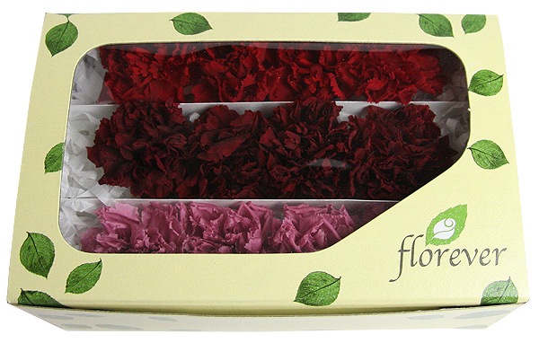 <@needs>ե륨С ߥ˥͡󎥥ꥸʥ륢(4x3) åɷϥߥå