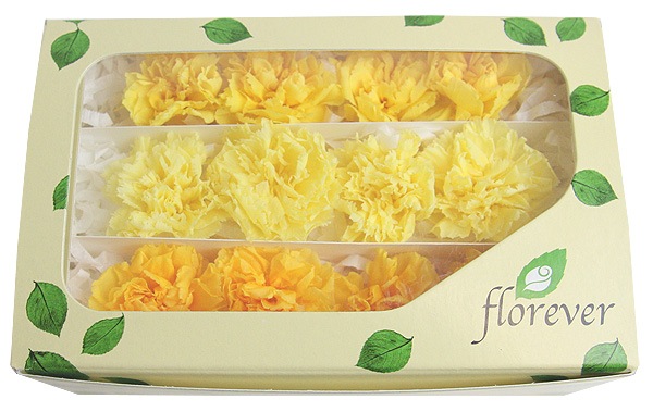 <@needs>ե륨С ߥ˥͡󎥥ꥸʥ륢(4x3) ϥߥå