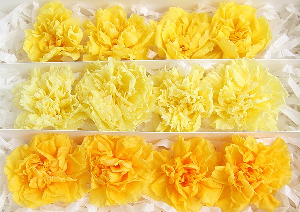 <@needs>ե륨С ߥ˥͡󎥥ꥸʥ륢(4x3) ϥߥå