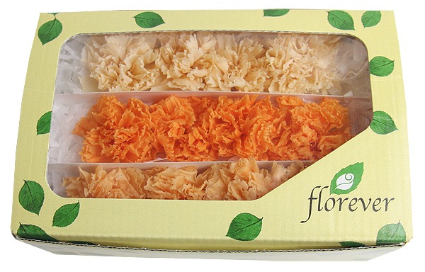 <@needs>ե륨С ߥ˥͡󎥥ꥸʥ륢(4x3) 󥸷ϥߥå