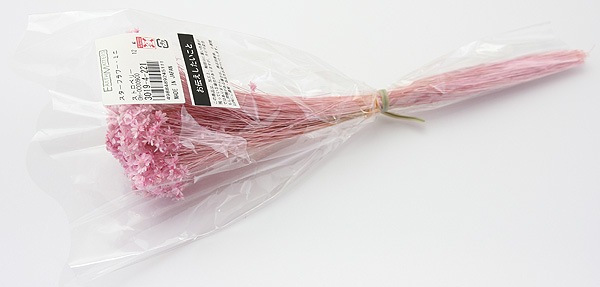 ��Outlet��ON �������ե����ߥ� ���ȥ��٥꡼