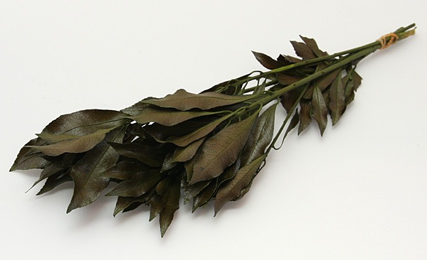 ��Outlet��ON �����«�������� ���꡼��