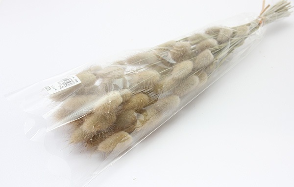 ��Outlet��ON �饰�饹 NG