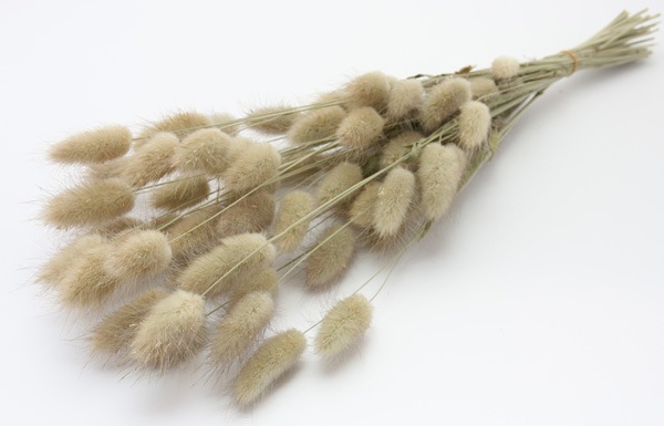 ��Outlet��ON �饰�饹 NG