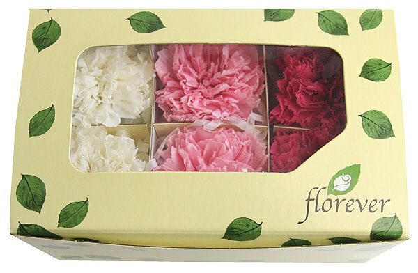 <@needs>�ե����륨�С� �����͡�����󎥥��ꥸ�ʥ륢������(2x3) �Х饨�ƥ����ߥå��� A