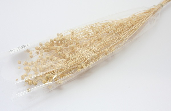 ��Outlet��ON ���ե� ��