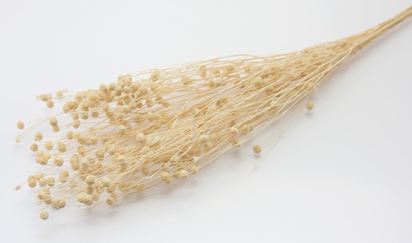 ��Outlet��ON ���ե� ��