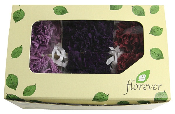 <@needs>�ե����륨�С� �����͡�����󎥥��ꥸ�ʥ륢������(2x3) �Х饨�ƥ����ߥå��� E