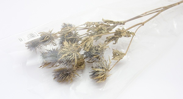 ��Outlet��ON ����󥸥塼�� N