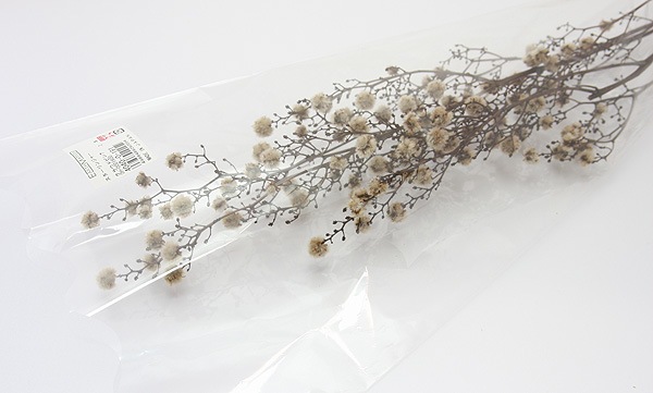 ��Outlet��ON ��������󥸥㡼 ���饦�ɥԥ�