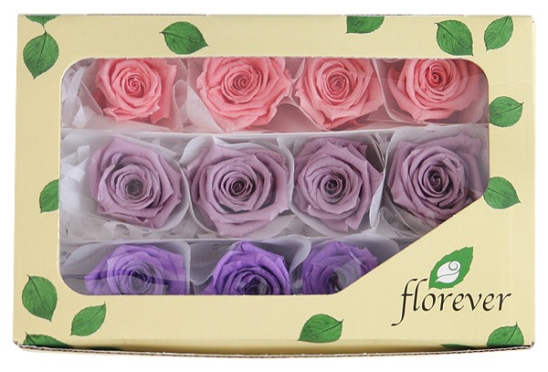 <@needs>�ե����륨�С� �٥��ӡ������������ꥸ�ʥ륢������(4x3) �Х饨�ƥ����ߥå��� A