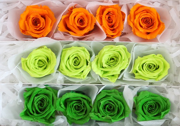 <@needs>ե륨С ٥ӡꥸʥ륢(4x3) Х饨ƥߥå B