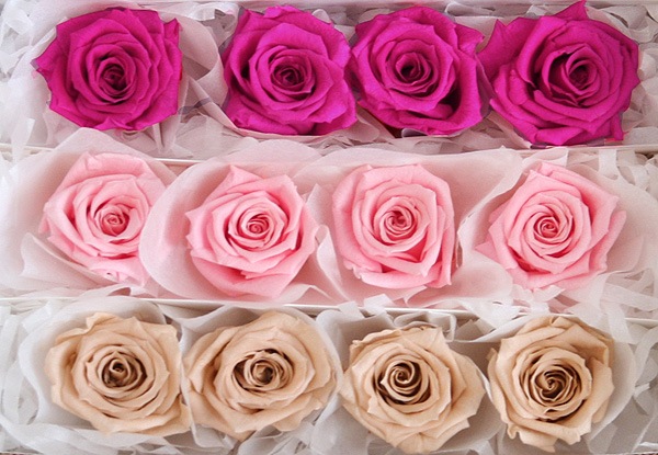 <@needs>ե륨С ٥ӡꥸʥ륢(4x3) Х饨ƥߥå C