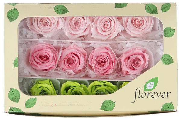 <@needs>�ե����륨�С� �٥��ӡ������������ꥸ�ʥ륢������(4x3) �Х饨�ƥ����ߥå��� E