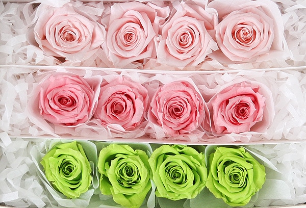 <@needs>�ե����륨�С� �٥��ӡ������������ꥸ�ʥ륢������(4x3) �Х饨�ƥ����ߥå��� E