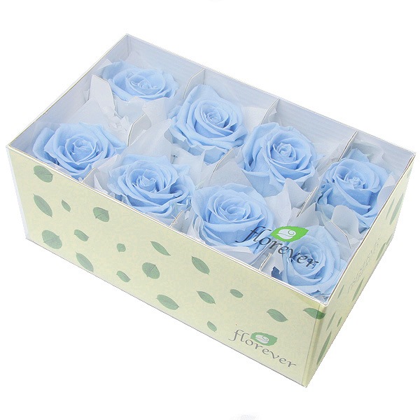 Florever ��ǥ����ʥ�����(8) �ѥ������֥롼