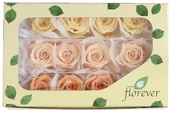 <@needs>�ե����륨�С� �٥��ӡ������������ꥸ�ʥ륢������(4x3) �Х饨�ƥ����ߥå��� D