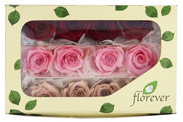 <@needs>ե륨С ٥ӡꥸʥ륢(4x3) Х饨ƥߥå G