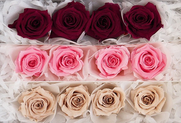 <@needs>ե륨С ٥ӡꥸʥ륢(4x3) Х饨ƥߥå G