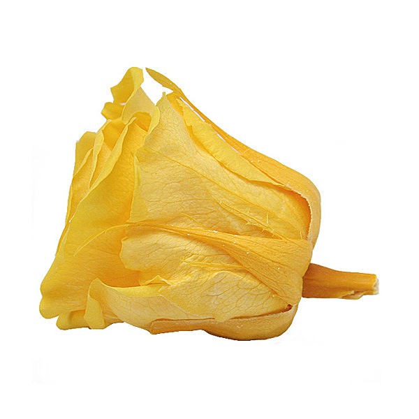 Florever ��ǥ����ʥ�����(8) ������ǥ󥤥�����