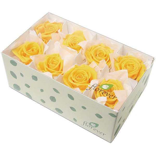 Florever ��ǥ����ʥ�����(8) ������ǥ󥤥�����