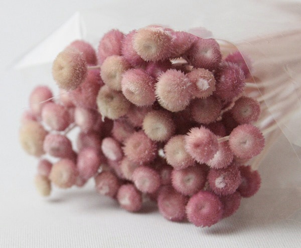 ��Outlet��Florever ���ޥ�꡼�� �ɥ饤���ԥ�