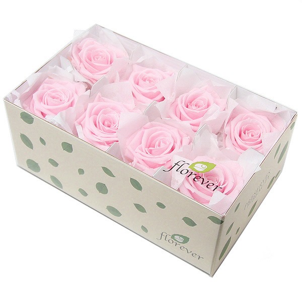 Florever ǥʥ(8) ߥ륭ԥ