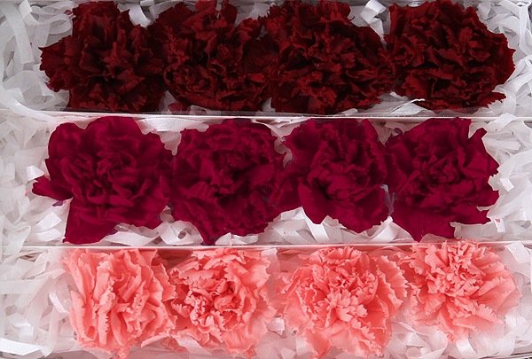 <@needs>ե륨С ߥ˥͡󎥥ꥸʥ륢(4x3) Х饨ƥߥå D