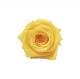 Florever �٥��ӡ�������(12) ��������