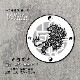 �������ƥå���12x12(cm�˻��� ��� �ʤ�ޤ� �������˱��� ���� ���۸޹�