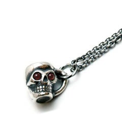 ARGENT GLEAM AN-415 / ͥå