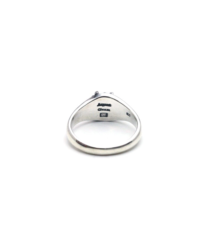 ARGENT GLEAM LT  LTR-003