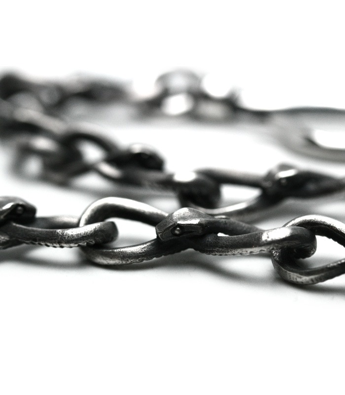 Infinity Snake Walletchain