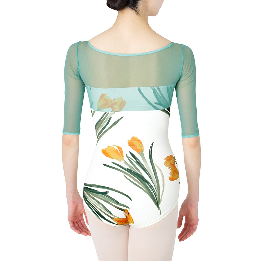 Crocus behind the mist