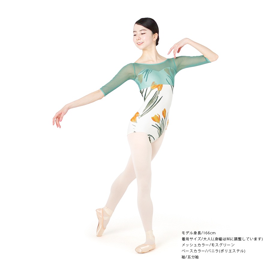 Crocus behind the mist