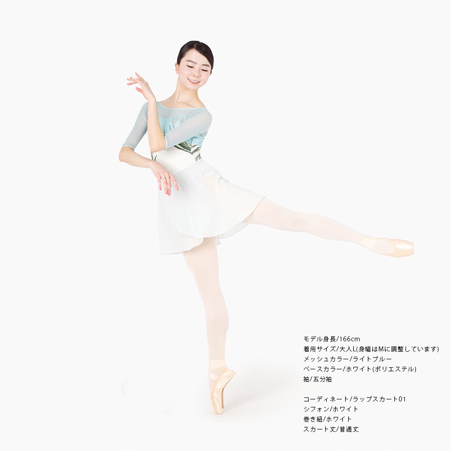 Crocus behind the mist