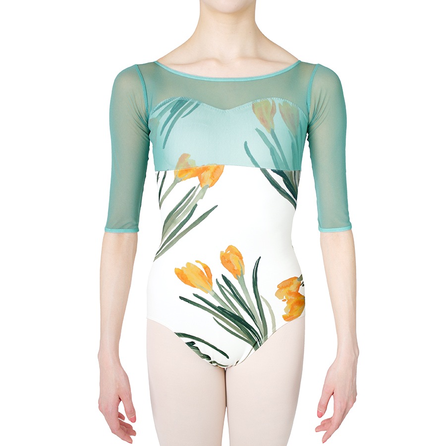 Crocus behind the mist